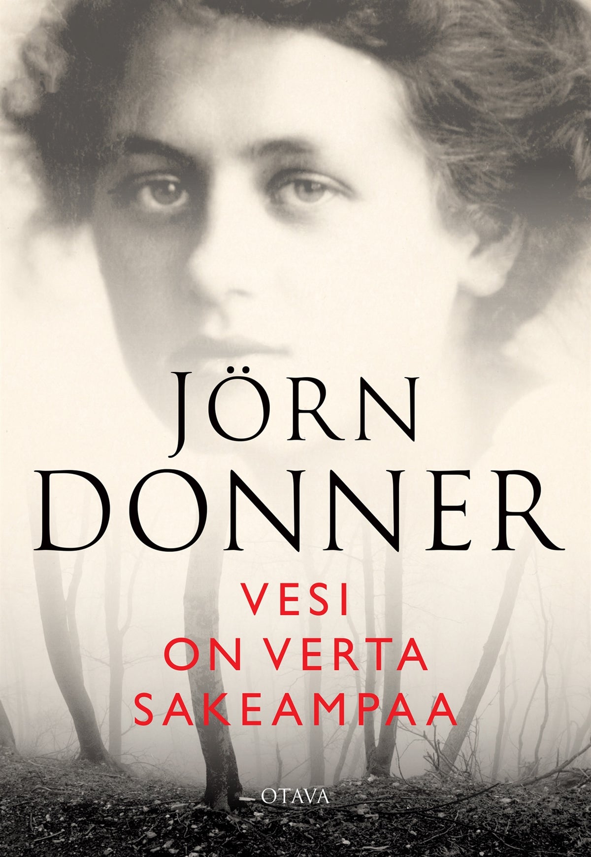 Vesi on verta sakeampaa – E-bok