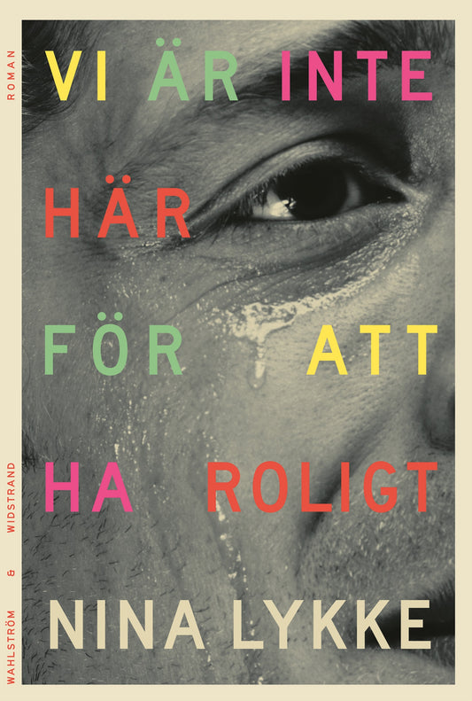 Vi är inte här för att ha roligt – E-bok