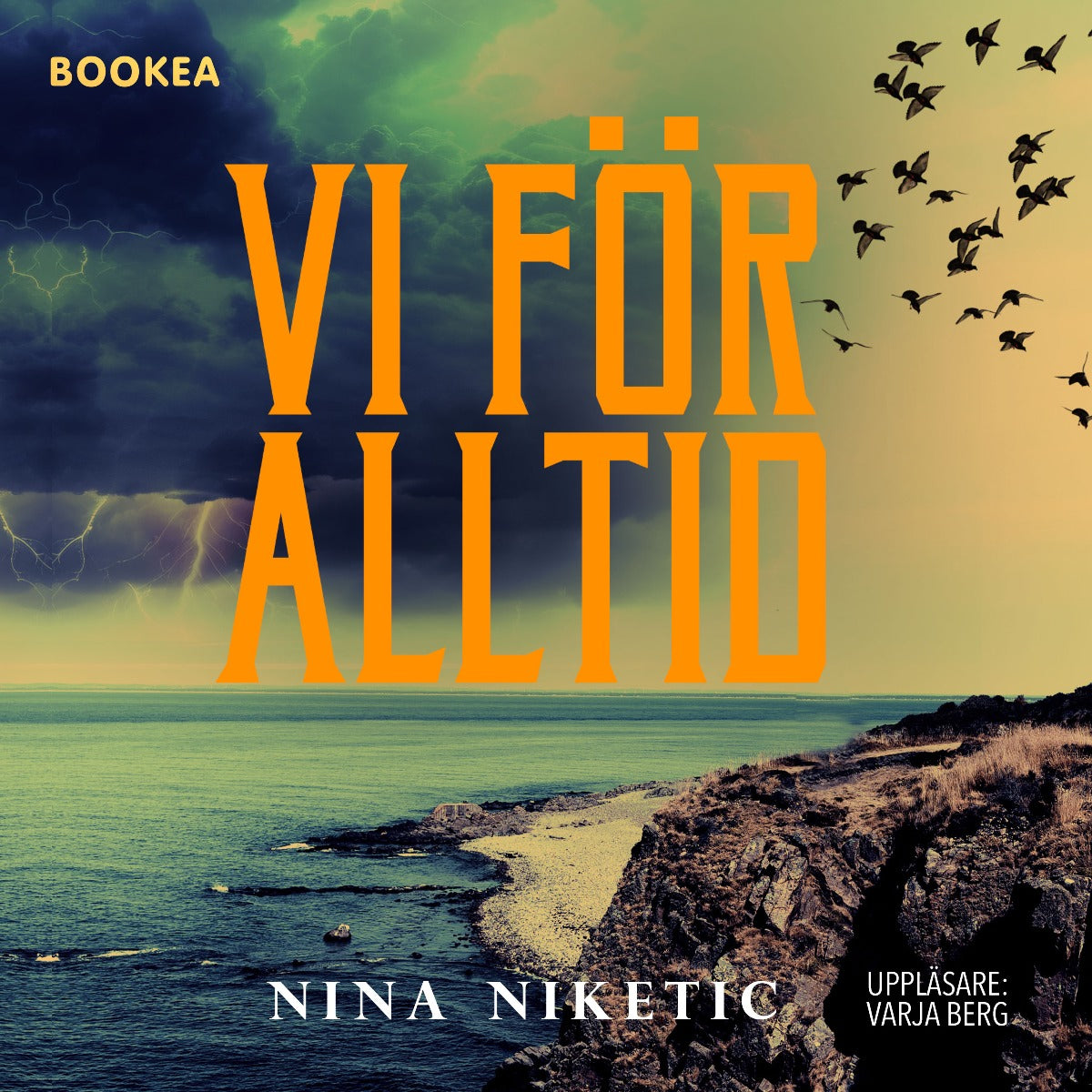 Vi för alltid – Ljudbok