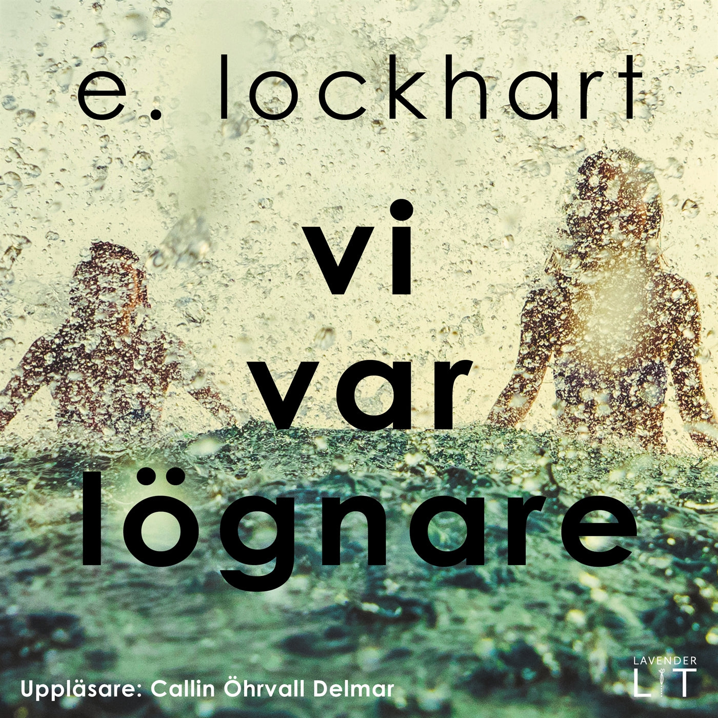Vi var lögnare – Ljudbok
