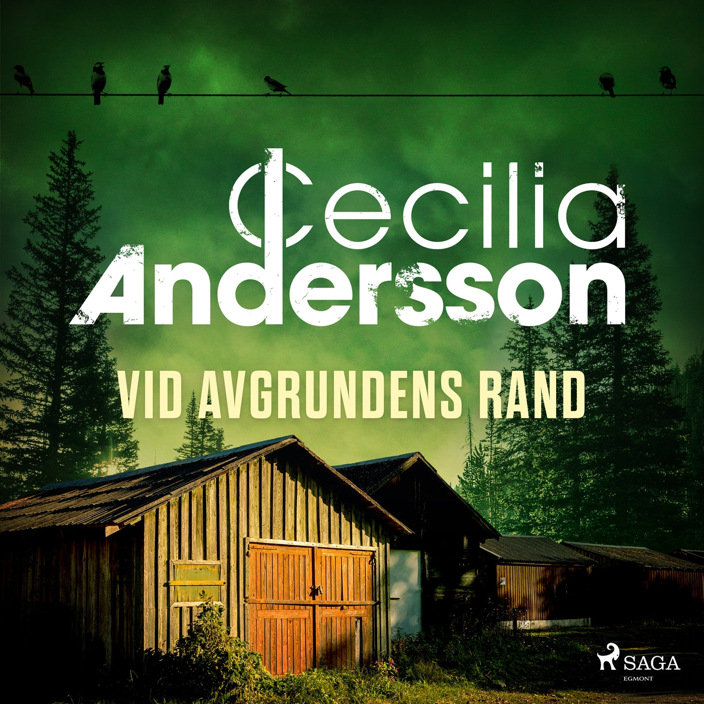 Vid avgrundens rand – Ljudbok