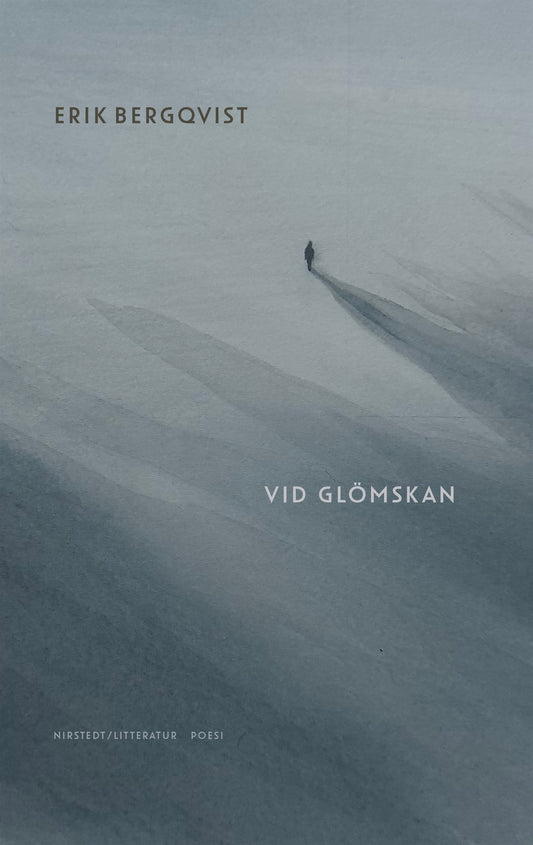 Vid glömskan – E-bok