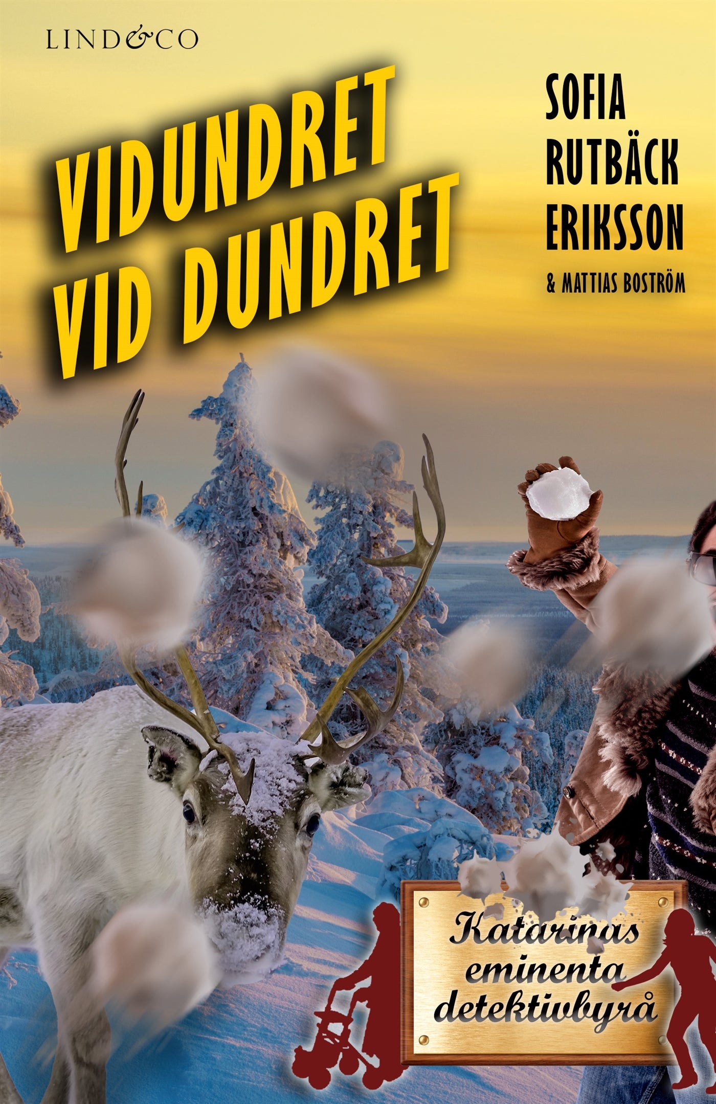 Vidundret vid Dundret – E-bok