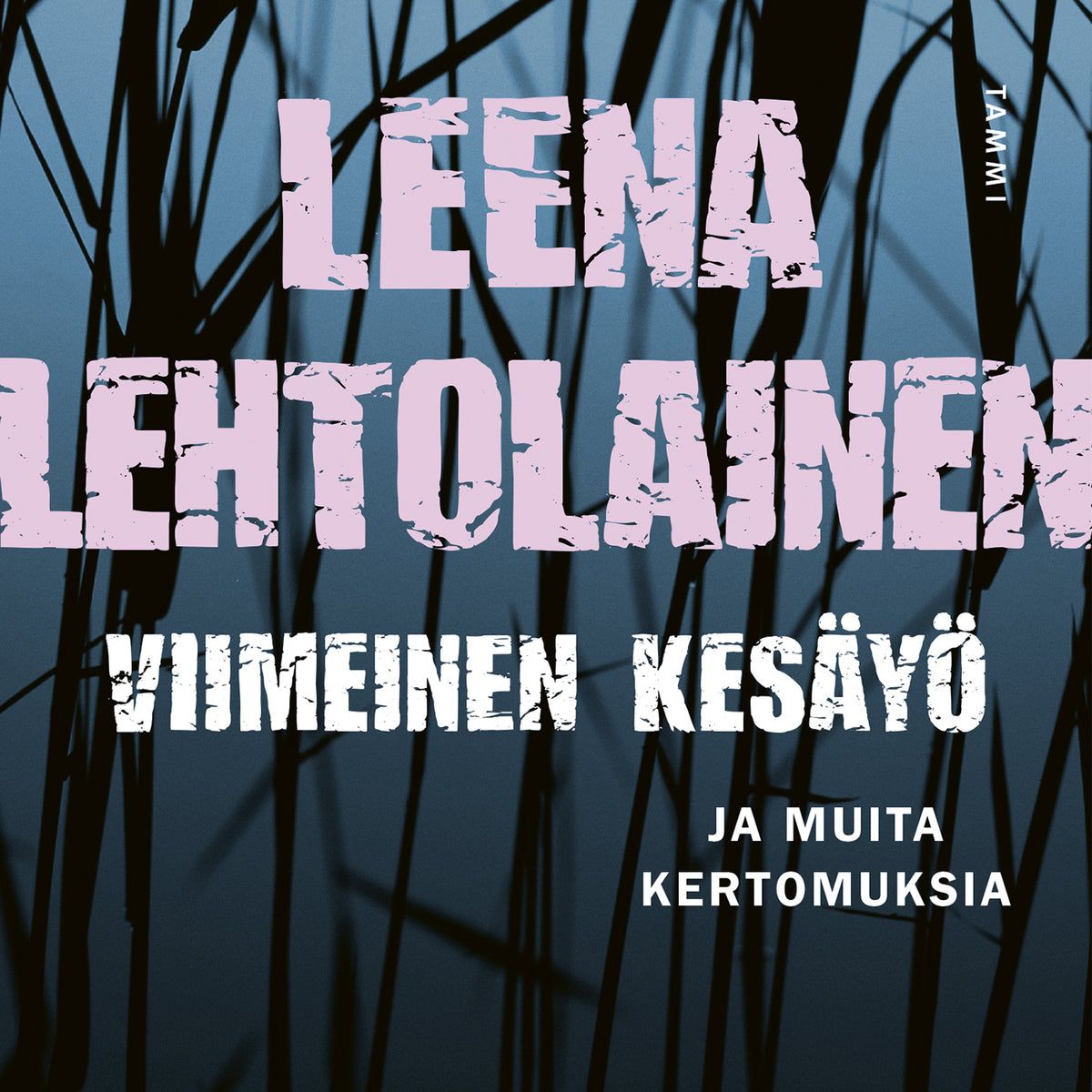 Viimeinen kesäyö – Ljudbok