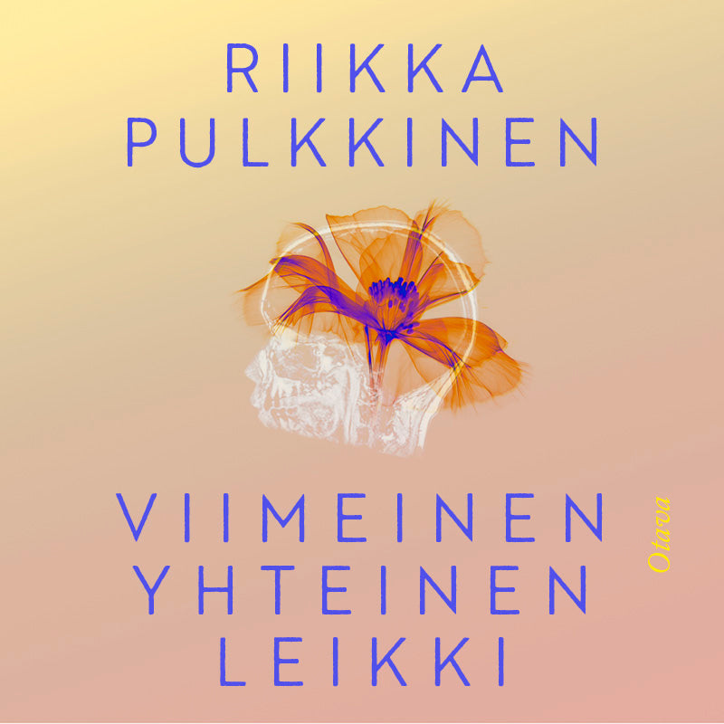 Viimeinen yhteinen leikki – Ljudbok