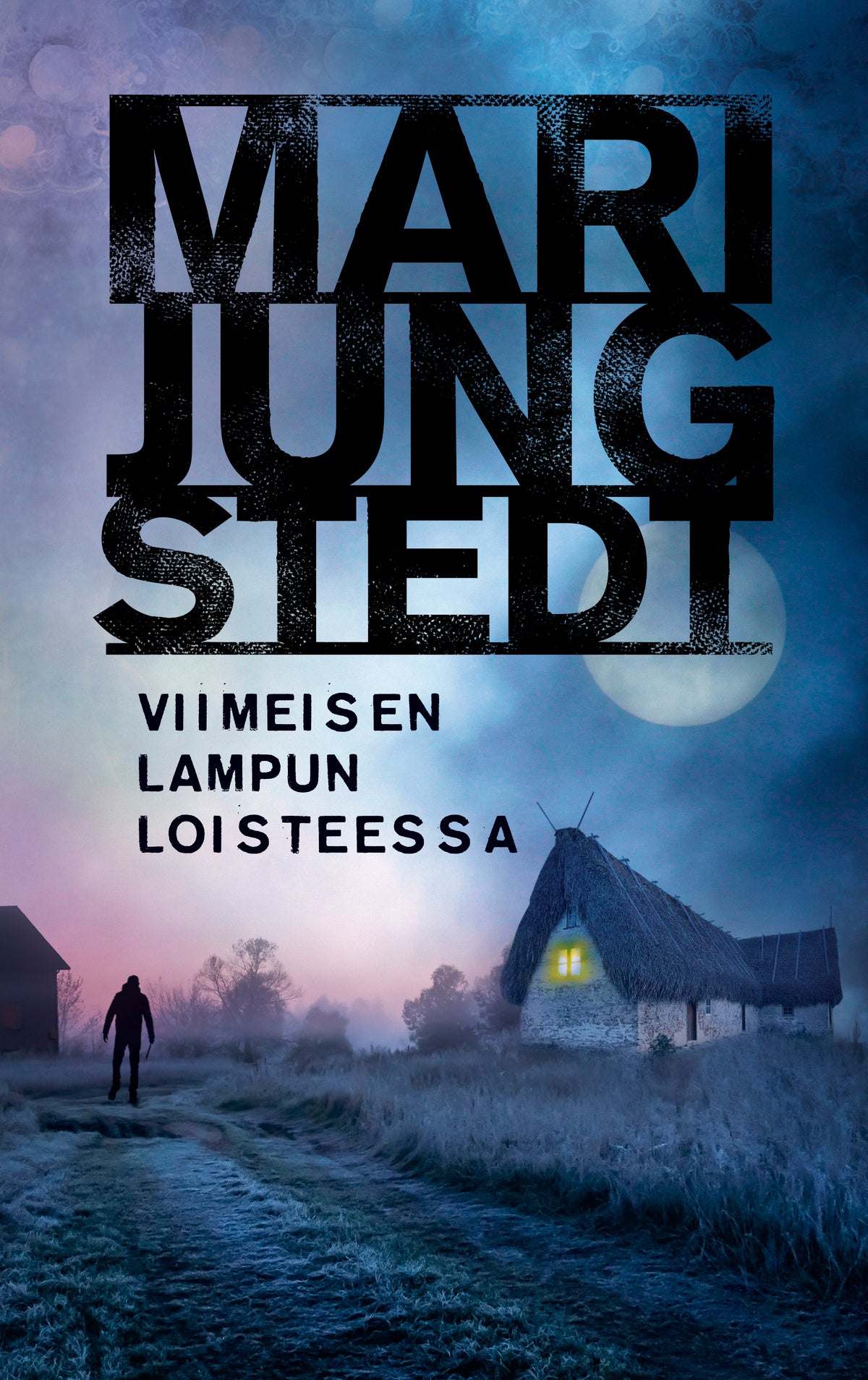 Viimeisen lampun loisteessa – E-bok