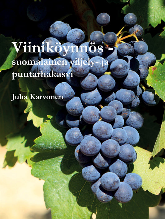 Viiniköynnös - suomalainen viljely- ja puutarhakasvi – E-bok