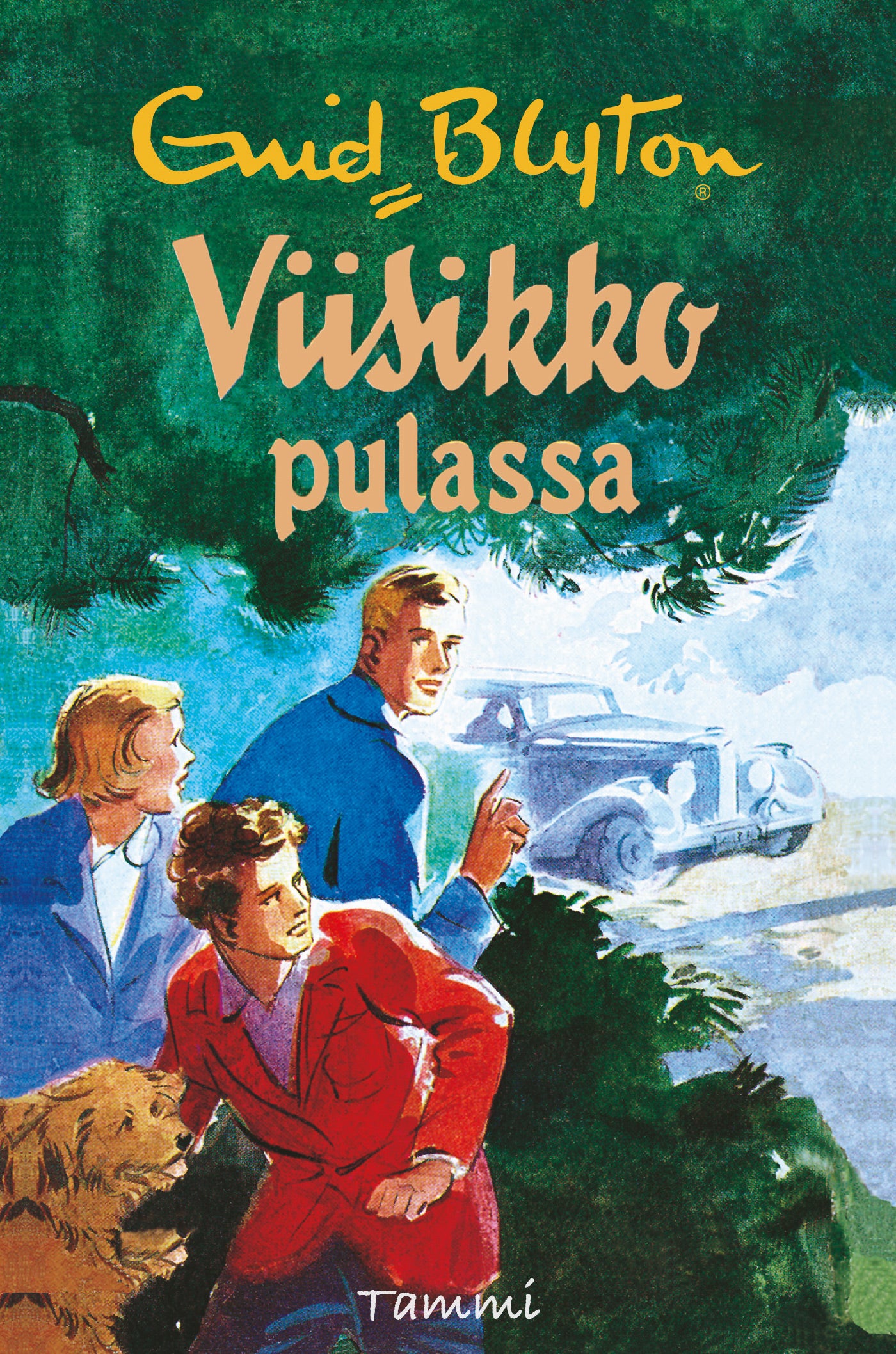 Viisikko pulassa – E-bok