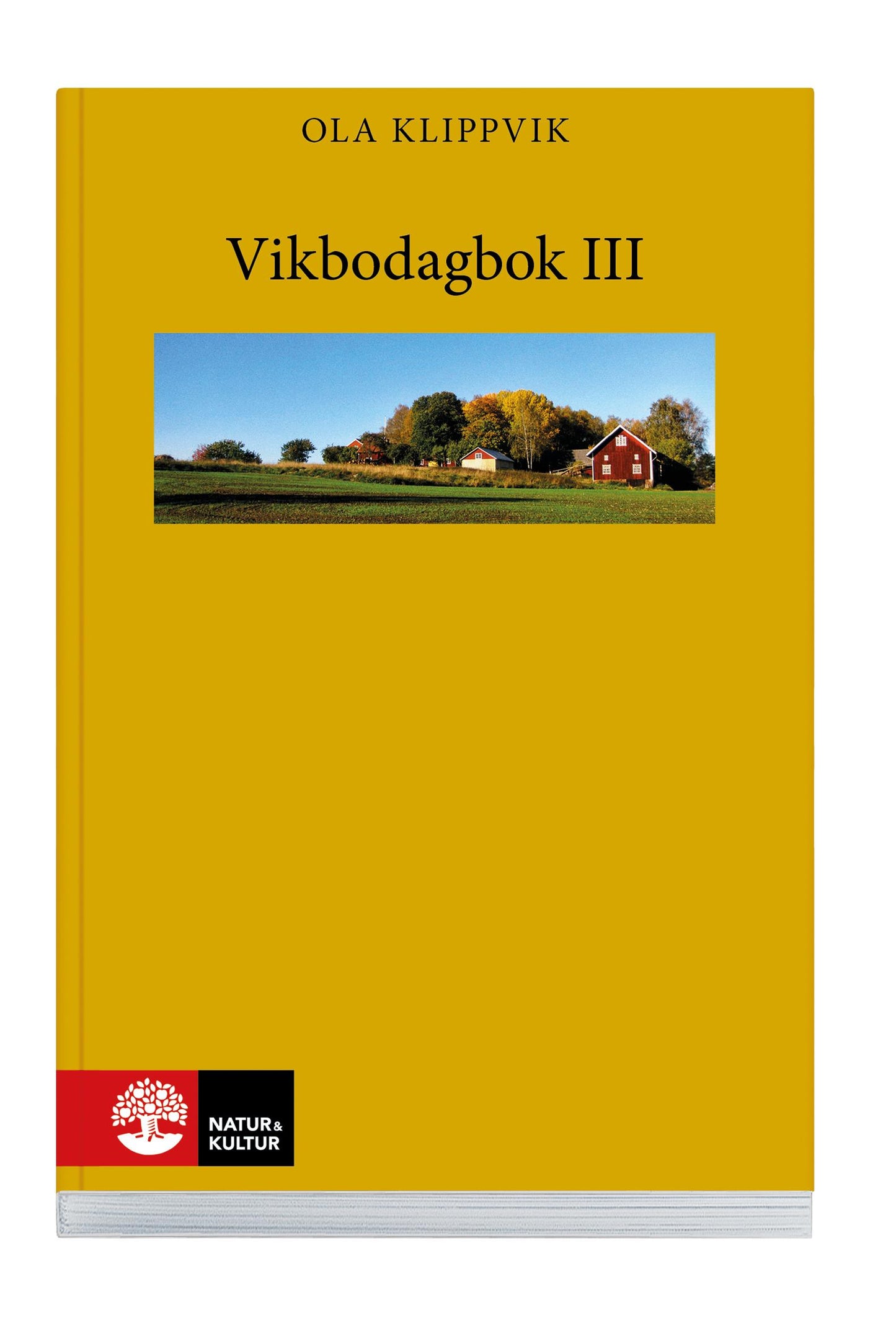 Vikbodagbok III – E-bok