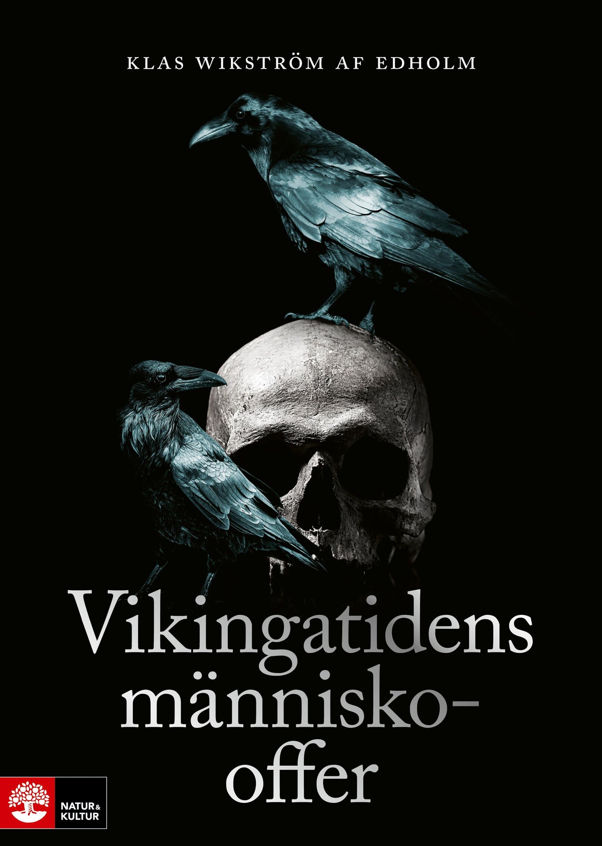 Vikingatidens människooffer – E-bok