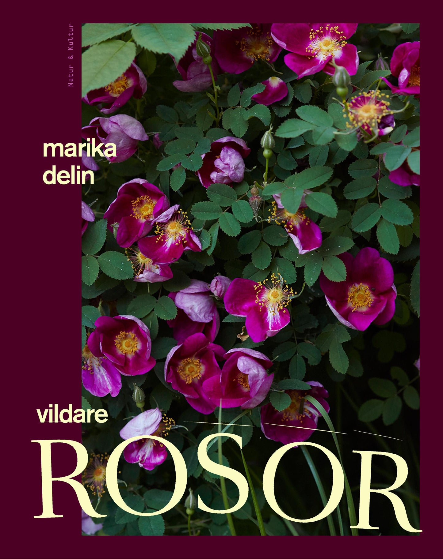 Vildare rosor – E-bok