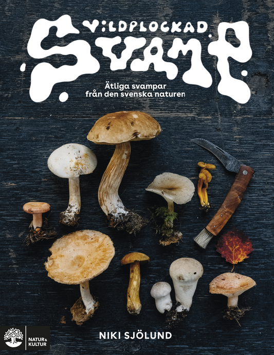 Vildplockad svamp – E-bok