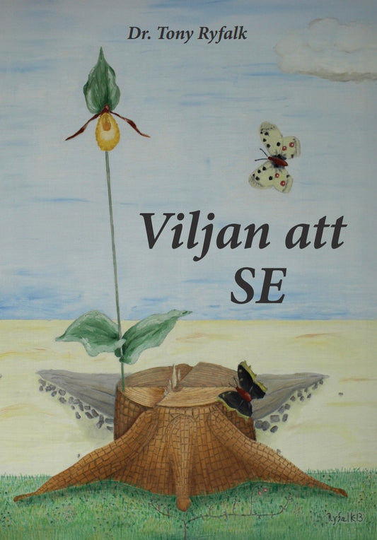 Viljan att se – E-bok
