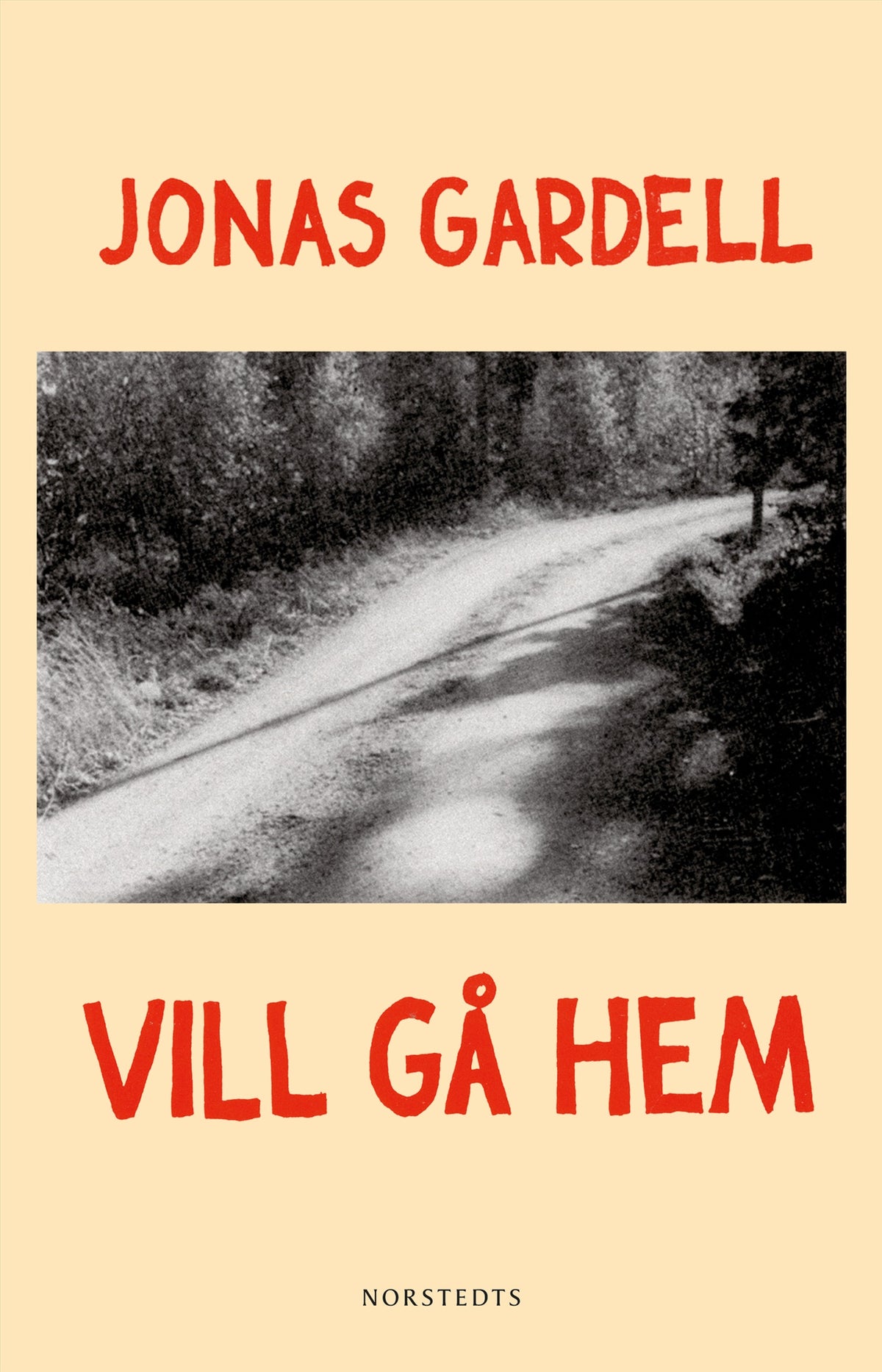 Vill gå hem – E-bok