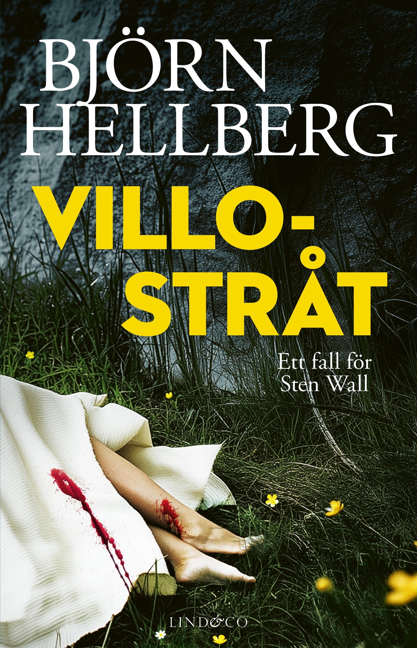 Villostråt – E-bok