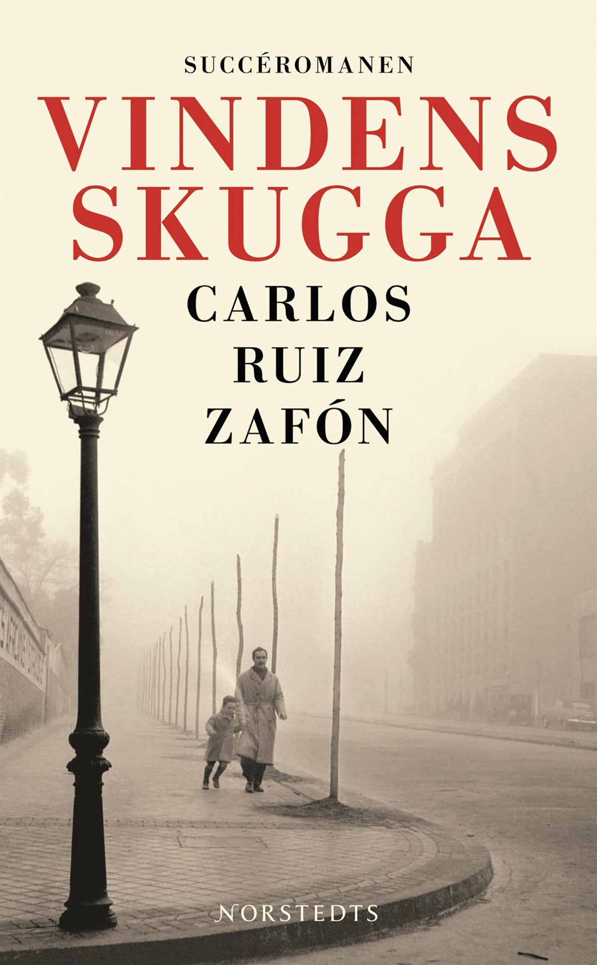 Vindens skugga – E-bok