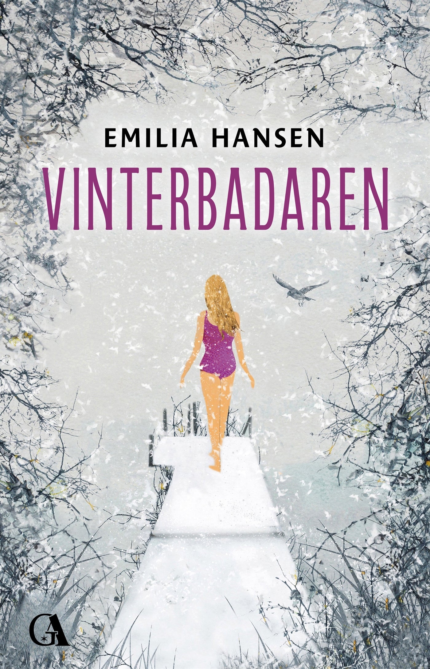 Vinterbadaren – E-bok
