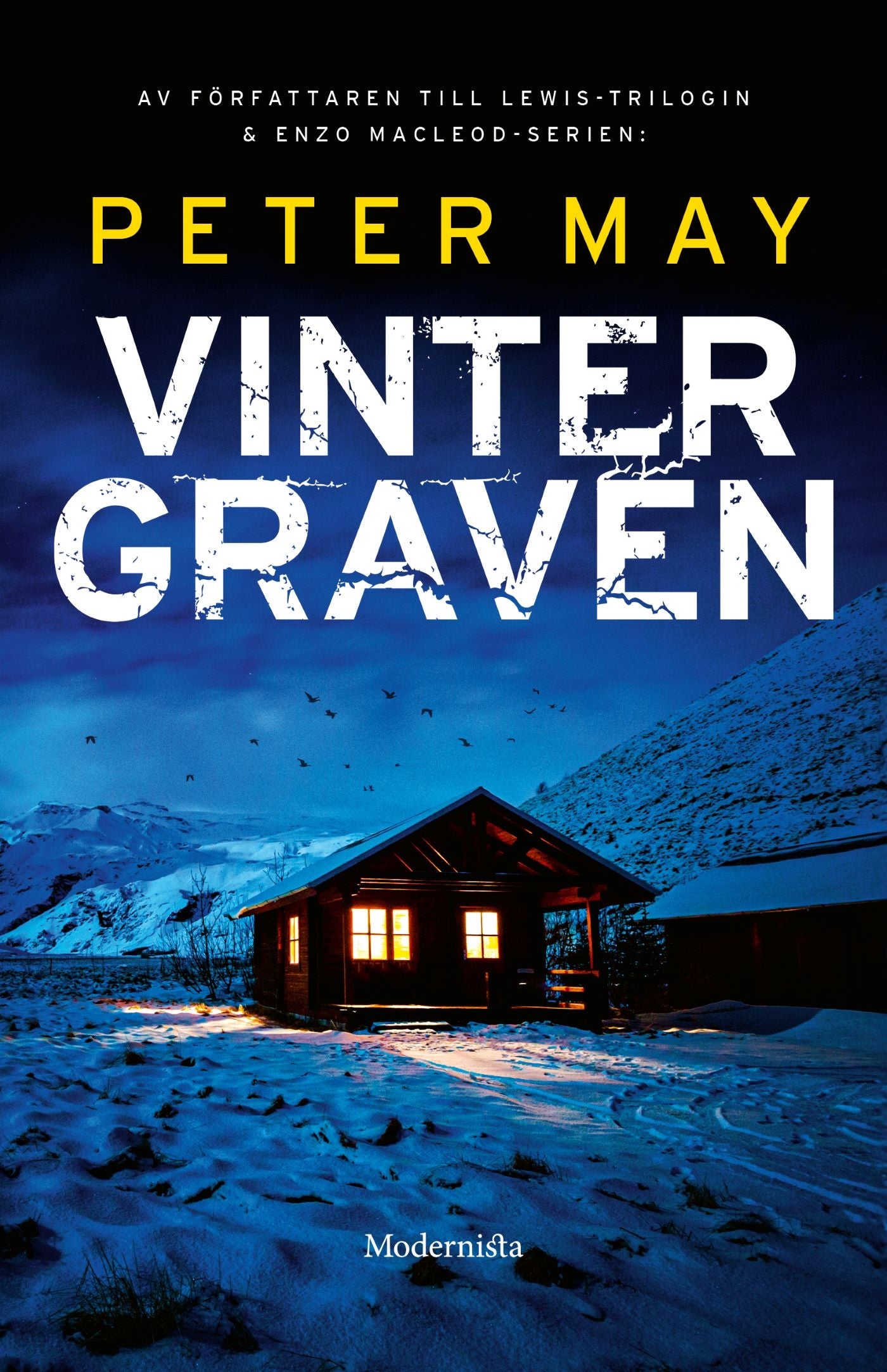 Vintergraven – E-bok