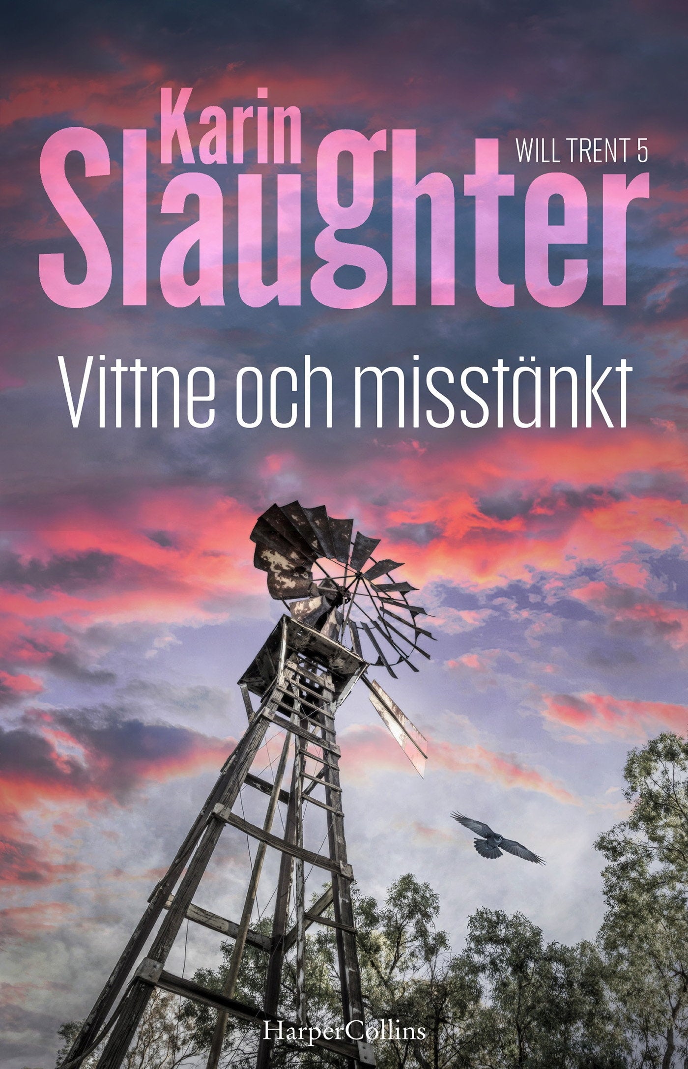 Vittne och misstänkt – E-bok