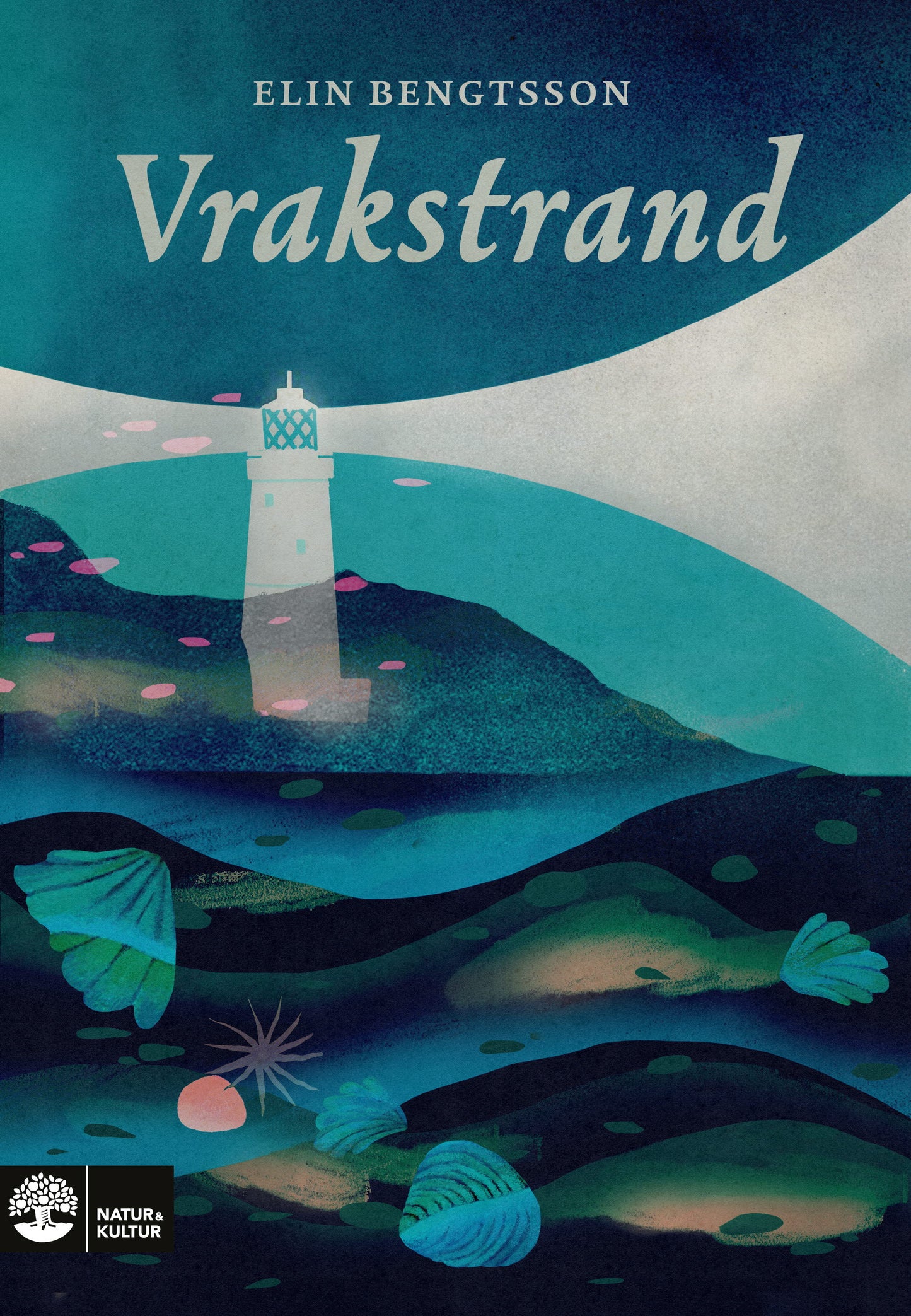 Vrakstrand – E-bok