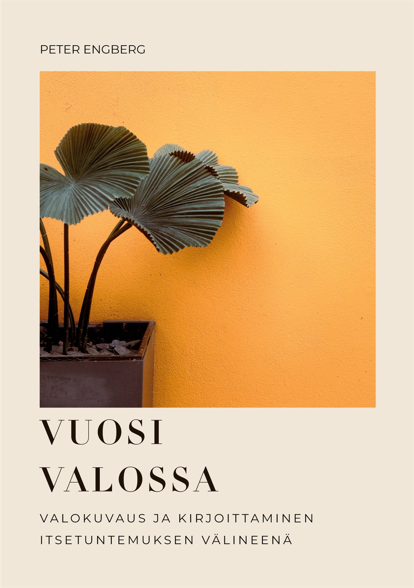 Vuosi Valossa: Valokuvaus ja kirjoittaminen itsetuntumuksen välineenä – E-bok