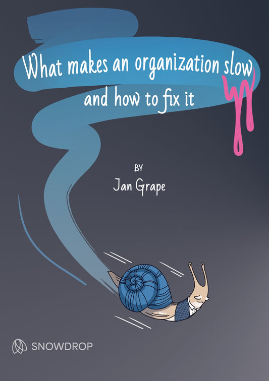 What makes an organization slow and how to fix it – E-bok