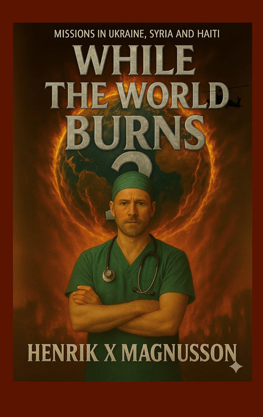 While the world burns 2: Missions Ukraine, Sudan, Haiti – E-bok