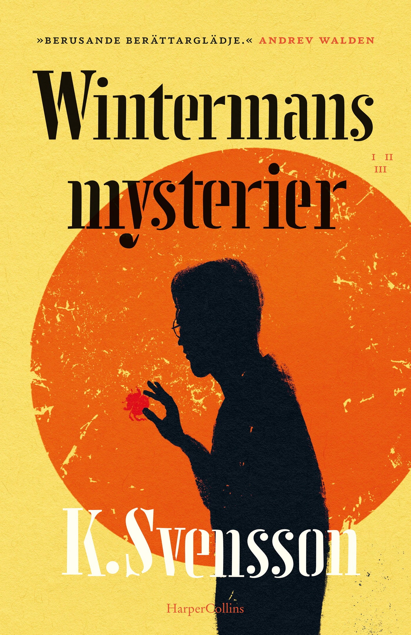 Wintermans mysterier – E-bok