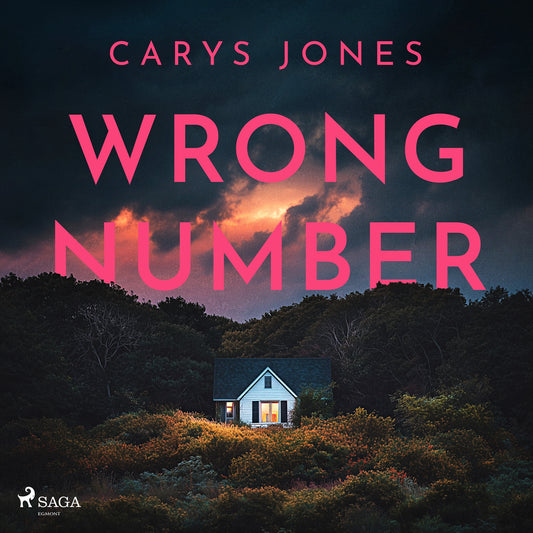 Wrong Number: A gripping, suspense-filled psychological thriller – Ljudbok