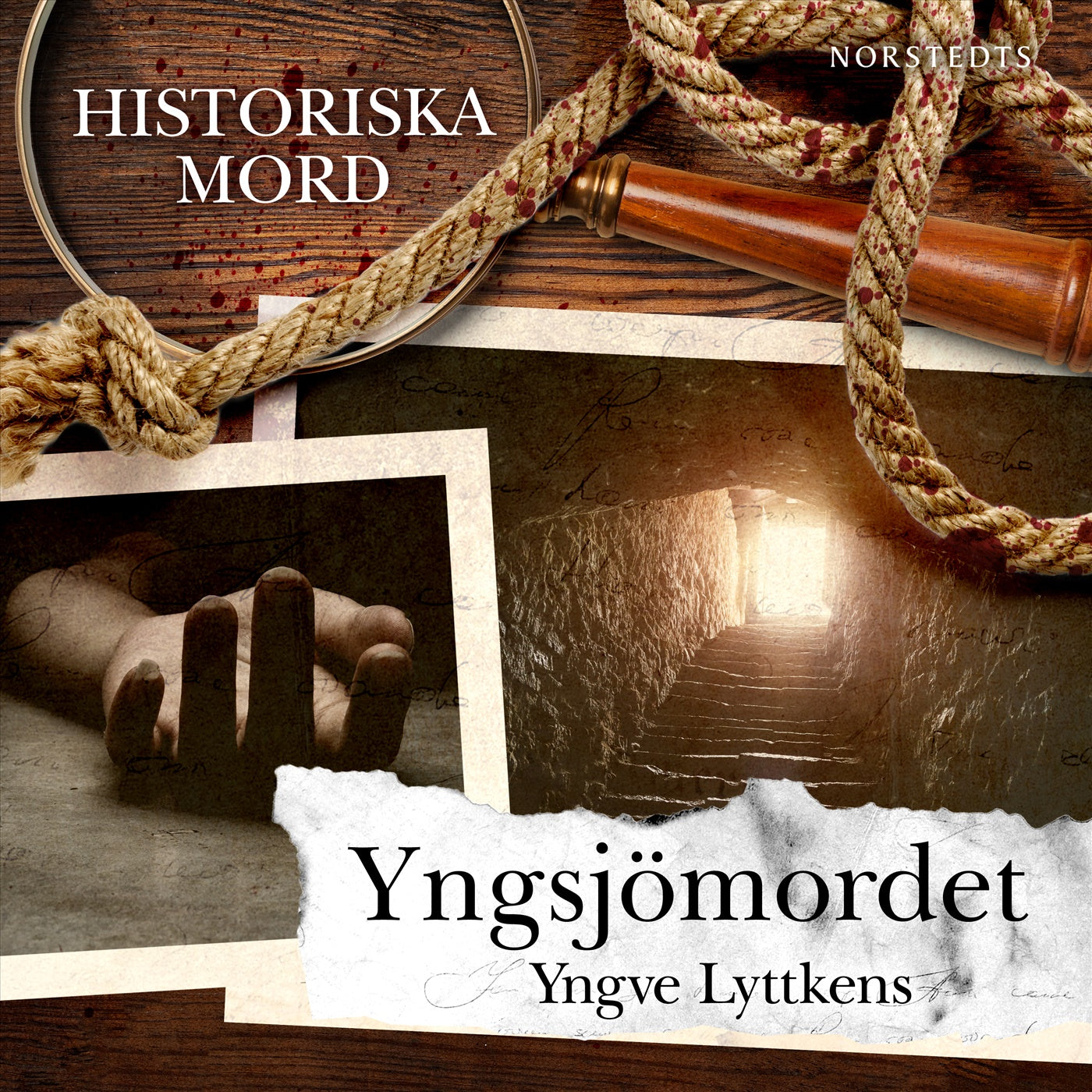Yngsjömordet : Historiska mord del 4 – Ljudbok