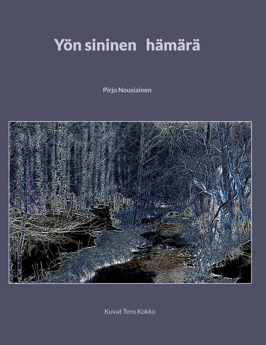 Yön sininen hämärä – E-bok