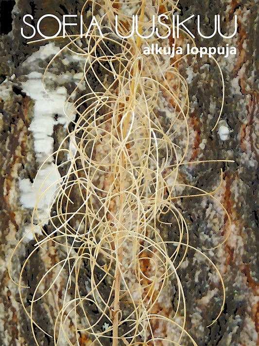 alkuja loppuja – E-bok