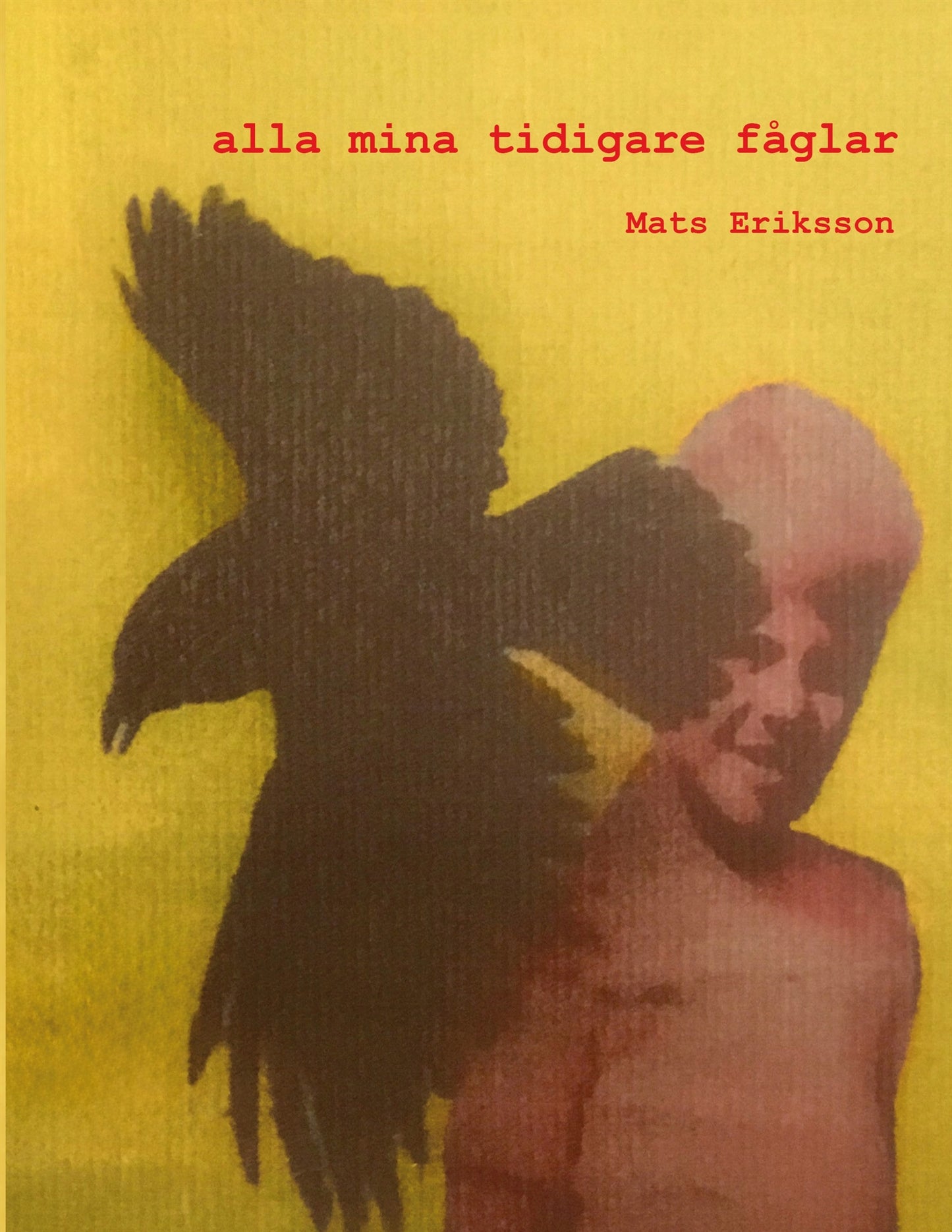 alla mina tidigare fåglar – E-bok