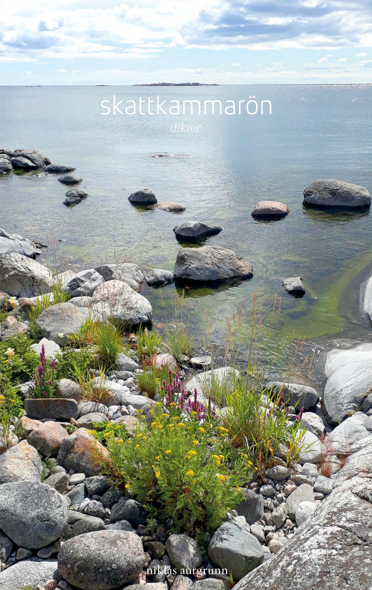 skattkammarön: dikter – E-bok